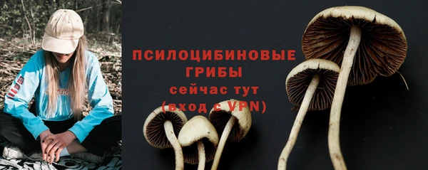 круглые Аркадак