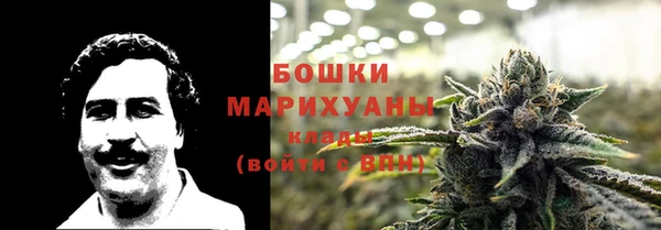 круглые Аркадак