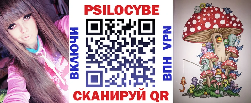 Псилоцибиновые грибы Cubensis Самара