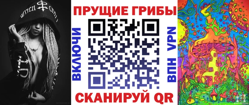 Псилоцибиновые грибы Psilocybe  Купить где  Самара 